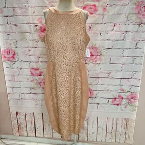 Roz & Ali Women's Sleeveless Halter Neck Lace Panel Champagne Dress Size 16 NWT